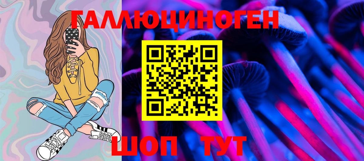 Псилоцибиновые грибы мицелий Протвино